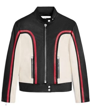 Celine Racer Blouson Jacket - Black