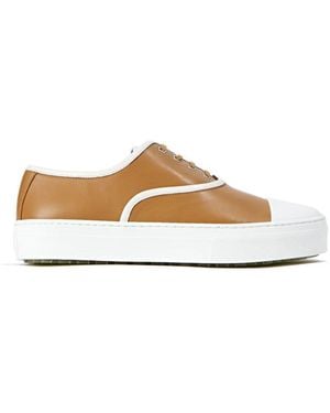 Celine Lace-Up Trainers - Multicolour