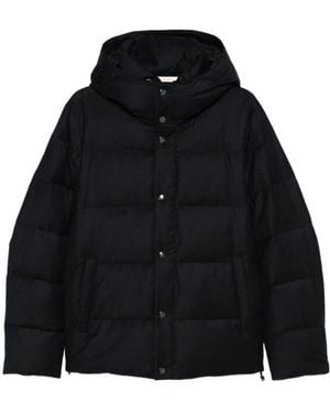 Montecore Hooded Padded Jacket - Black