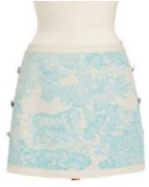 Dior Iviera Straight Miniskirt - Blue