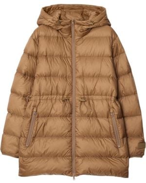 Burberry Nylon Puffer Jacket - Brown