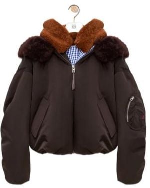 Loewe Bomber Jacket - Brown
