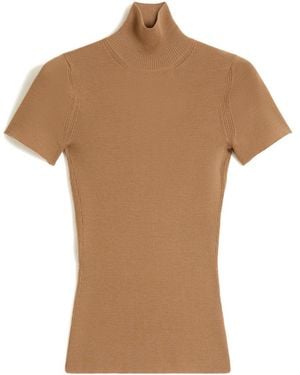 Max Mara Afa1234 High Neck Short-Sleeved Jumper - Brown