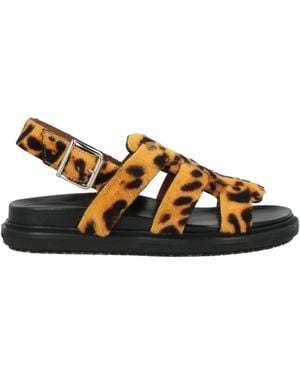 Marni Leopard Print Casual Sandals - Brown