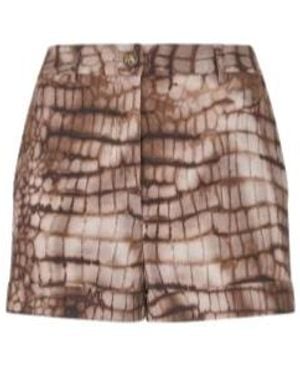 Elisabetta Franchi Shorts - Brown