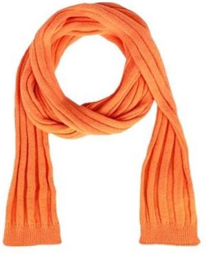 MAX&Co. Scarves And Foulards - Orange