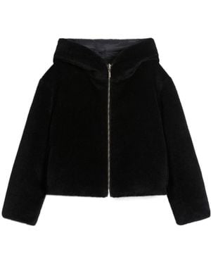 Max Mara Short, Reversible Alpaca And Wool Padded Jacket - Black