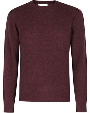 Roberto Collina Crew-Neck Sweater - Purple