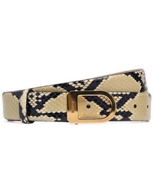 KHAITE 3Cm Saddle Python Print Leather Belt - Metallic