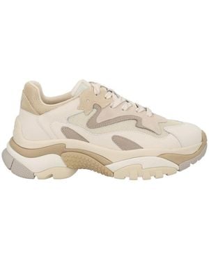 Ash Round-Toe Sneakers - Natural