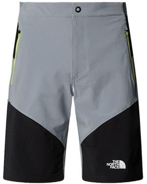 The North Face Felik Shorts - Grey