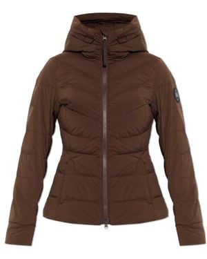 Canada Goose Down Jackets - Brown
