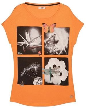 Iceberg Printed T-Shirt With Round Neck - Orange