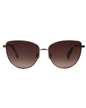 Max Mara Multicolor Sunglasses