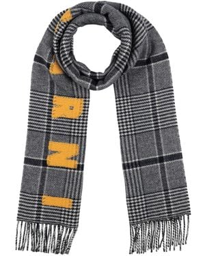 Marni Scarves Foulards - Blue