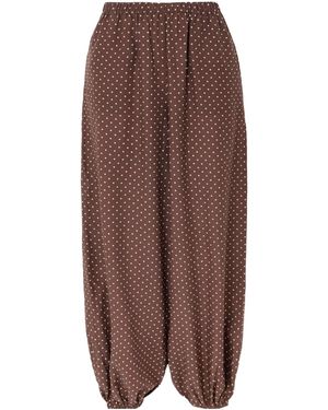 Posse Polka Dot Tapered Pants - Brown