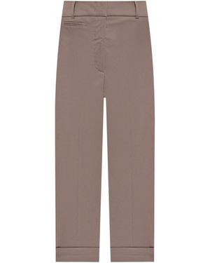 Peserico Straight Chino Pants - Brown