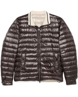 Herno Quilted Jacket - Multicolour