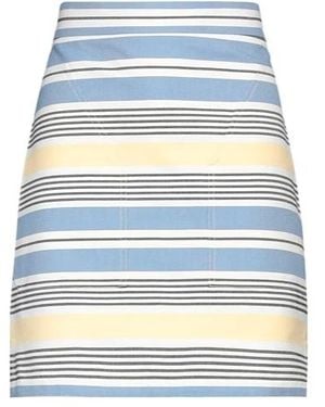 Max Mara Mini Skirts - Blue