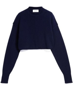 Sportmax Crewneck Long-Sleeved Jumper - Blue