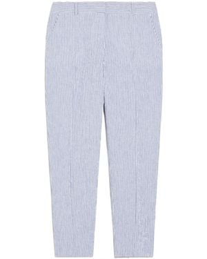 Weekend by Maxmara Seersucker Pants - Blue