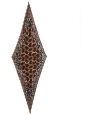 Etro Leopard Printed Scarf - Brown