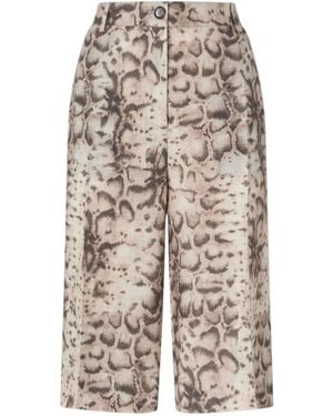 Pinko Snake-Print Shorts - Multicolor