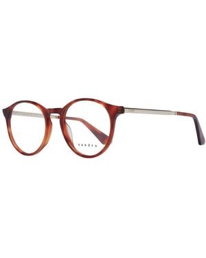 Sandro Brown Acetate Glasses (frames)