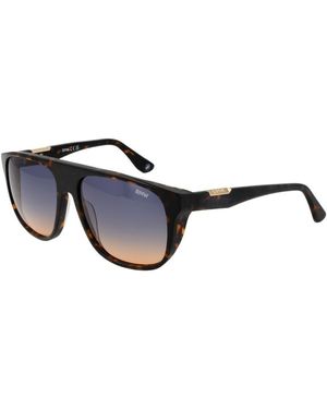 BMW Brown Acetate Sunglasses - Black