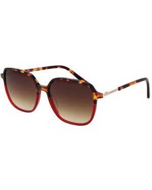 Replay Plastic Sunglasses - Brown