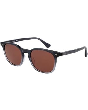 Web Grey Men Sunglasses - Brown
