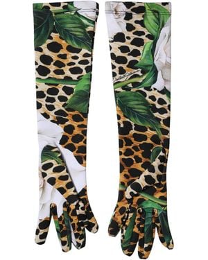 Dolce & Gabbana Multicolor Floral Leopard Elbow Length Gloves - Green