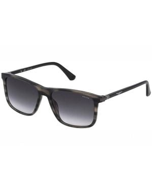 Police Brown Metal Sunglasses - Black