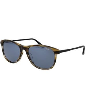 BMW Brown Acetate Sunglasses - Blue