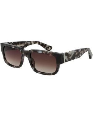 Police Gray Cellulose Acetate Sunglasses - Brown