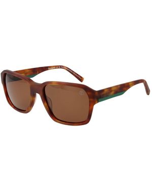 Timberland Brown Acetate Sunglasses