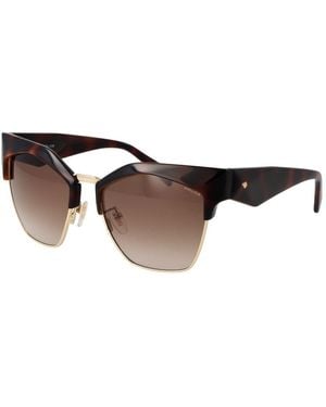 Police Brown Plastic Sunglasses