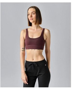 Champion Brown Cotton Bra - Multicolour