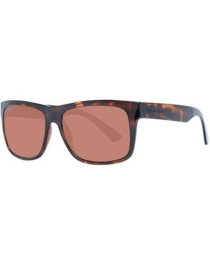 Serengeti Sunglasses - Brown