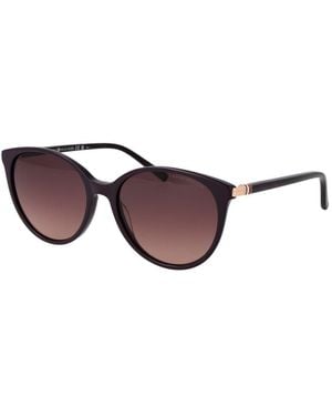 Tommy Hilfiger Purple Acetate Sunglasses - Brown