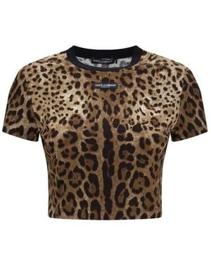 Dolce & Gabbana Beige Cotton T - Brown