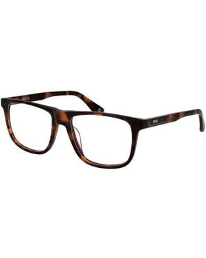 BMW Brown Plastic Glasses (frames) - Black
