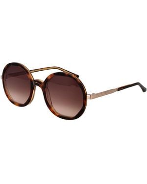 Sandro Brown Acetate Sunglasses