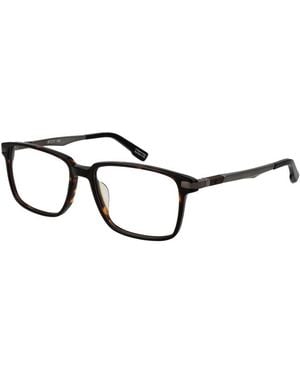 Spy Brown Plastic Glasses (frames) - Black