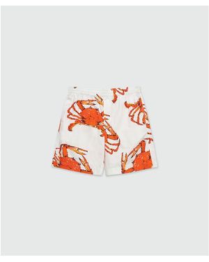 MSGM Cotton Bermuda Shorts - Red