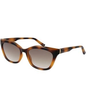 Ted Baker Multicolor Acetate Sunglasses - Brown