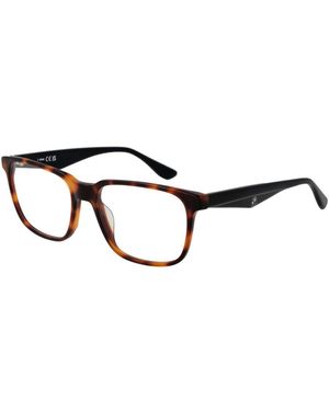 BMW Brown Acetate Glasses (frames) - Black