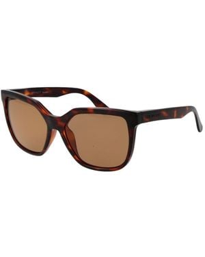 Serengeti Sunglasses - Brown