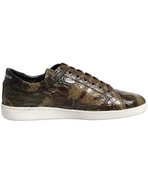 Dolce & Gabbana Brown Exotic Leather Low Top Trainers Shoes