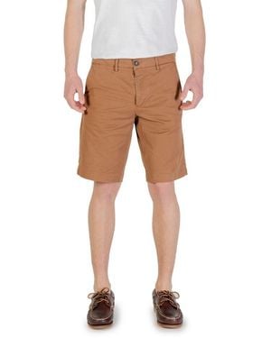 Borghese Cotton Bermuda - Brown